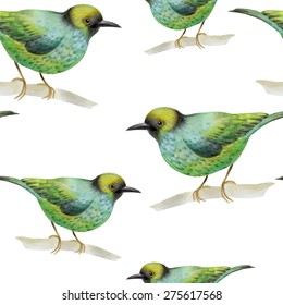 Watercolor seamless pattern with  birds. Vector illustration 