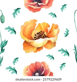 Watercolor seamless pattern. Watercolor poppies, hand drawn floral illustration, wildflowers isolated on white background. Vector illustration in watercolor style.
