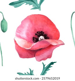 Watercolor seamless pattern. Watercolor poppies, hand drawn floral illustration, wildflowers isolated on white background. Vector illustration in watercolor style.
