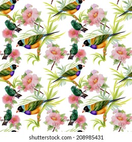 Watercolor seamless pattern with tropical birds and flowers on white background vector illustration