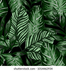 Watercolor seamless pattern with tropical leaves: palms, monstera, passion fruit. Beautiful allover print with hand drawn exotic plants. Swimwear botanical design. Vector.
