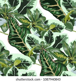 Watercolor seamless pattern with tropical leaves: palms, monstera, passion fruit. Beautiful allover print with hand drawn exotic plants. Swimwear botanical design. Vector.
