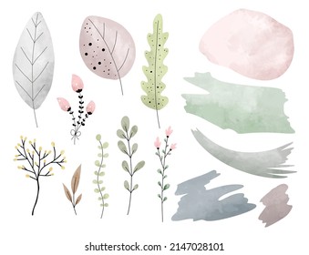 Watercolor set of abstract shape and floral elements collection 