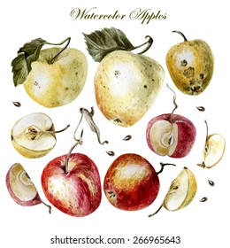 watercolor set with apples on a white background. Vector illustrations.