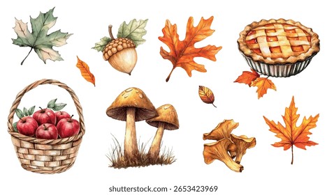 Aquarela conjunto de outono elementos naturais png. Cesta com maçãs, cogumelos, bolotas, folhas de outono e torta. Elementos naturais do outono. Clipart para projetos de outono, Ação de Graças e outros.