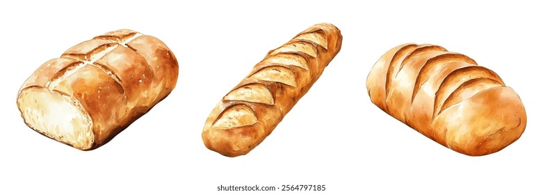 Watercolor set of baked wheat bread. Fragrant freshly baked bread and loaf in watercolor on a transparent background. Baking and rural products concept. Vector illustration.