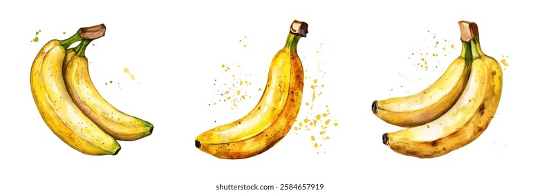 Watercolor set of bananas png. Fresh ripe bananas in yellow peel on transparent background in watercolor style. Tropical and African fruits concept. Sweet vegan snack. Vector illustration.