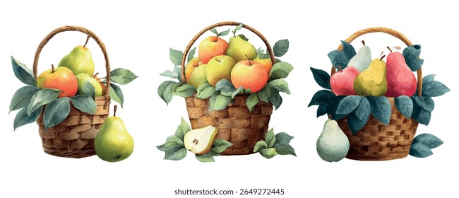 Watercolor set of baskets with blueberries and pears. Wicker baskets with harvest from the orchard. Concept of orchard,harvest,autumn etc. Vector illustration.