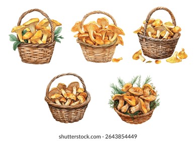 Aquarela conjunto de cestas com cogumelos chanterelle e cogumelos porcini. Cestas pintadas com cogumelos de outono. Conceito de outono, colheita de cogumelos. Ilustração vetorial.