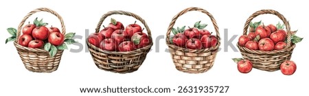 Watercolor set of baskets with red apples. Wicker basket filled with red apples and leaves from an apple tree. Autumn and harvest concept. Thanksgiving concept, autumn elements.