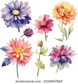 Watercolor set of beautiful flower