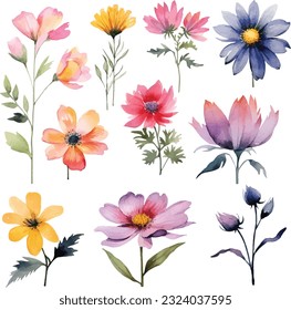 Watercolor set of beautiful flowers