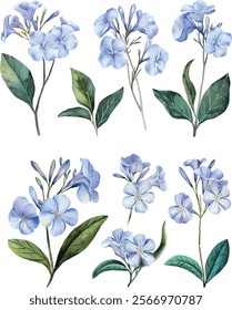 Watercolor set of blue flowers. Flax flowers isolated on a white background.