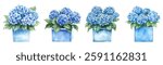 Watercolor set of blue hydrangeas bouquets in boxes. Lush blue hydrangea flowers with green leaves in a blue aqua box. Watercolor floral bouquets of hydrangea.