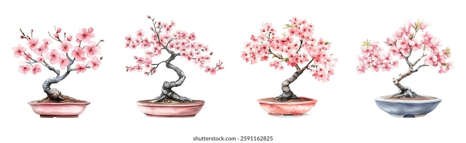 Watercolor set of bonsai elements with blooming sakura. Japanese bonsai with pink sakura in a pot. Japanese elements. Traditional Japanese interior design nature plant.