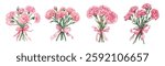 Watercolor set of a bouquet of pink carnations tied with a pink ribbon. Romantic cute pink flowers on isolated
 background Watercolor carnations. The concept of Mother's Day, March 8, Birthday.