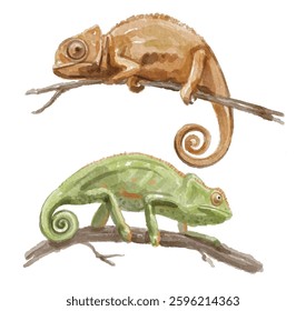 Aquarela conjunto de camaleão para logotipo, convites e mais