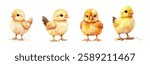 Watercolor set of cute baby chickens. Cute little chewy chicks on a white isolated background. Easter symbol. Symbol of agriculture and farm. Vector illustration.