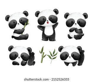 Conjunto de acuarelas de panda de bebé lindo y hojas de bambú