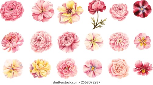 Watercolor set of different peony, orchid, primrose, flowers. Hand drawn flower vector illustration isolated on white background.