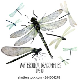 Watercolor set of dragonflies. Top, front views.  Vector illustration isolated on white background