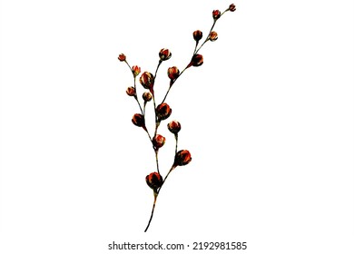 Watercolor set drawing willow branches , spring collection plants
Informasi penting