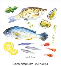 Watercolor set with fish, seafood, oysters, basil and other herbs and spices. Hand-drawn on a white background. Simple painting sketch in vector format.