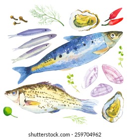 Watercolor set with fish, seafood, oysters,sardina, crucian,  basil and other herbs and spices. Hand-drawn on a white background. 