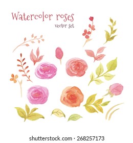 Watercolor set of floral elements, flowers, roses, leaf and sprigs. Vecror set can be used for greeting cards, wedding cards and invitations