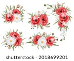 watercolor set of flower arrangement with red poppy flower