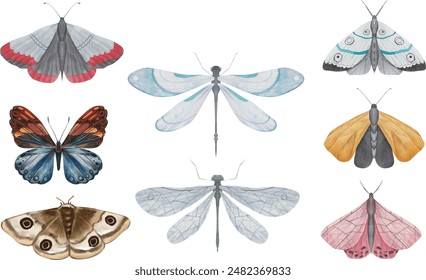 	
Watercolor set of flying dragonflies and butterflies. Cute isolated illustration for your design, abstract insects.