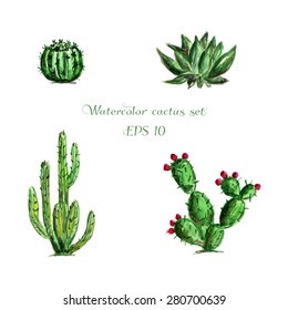 Watercolor set of four green Mexican cactus. Different cactus with flowers. Latin American cactus. Plant collection. Vector illustration. Round cactus, big cactus, Latin  American plants cactus.