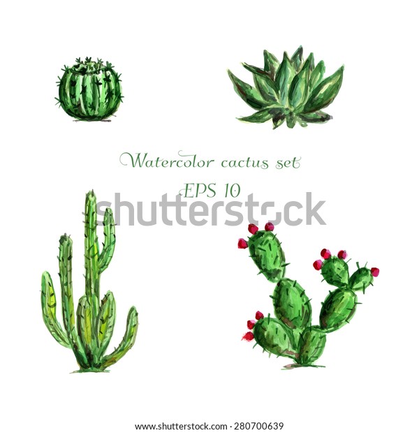 緑のメキシコのサボテン4つの水彩セット 花でサボテンが違う ラテンアメリカのサボテン 植物のコレクション ベクターイラスト 丸いサボテン 大きなサボテン 中南米の植物のサボテン のベクター画像素材 ロイヤリティフリー