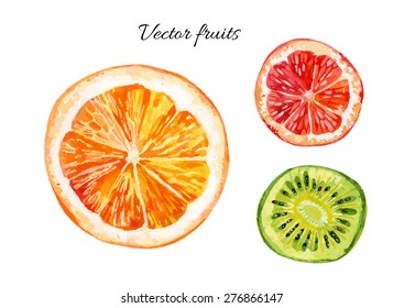 Watercolor set of fresh orange, kiwi and grapefruit. Hand painted vector illustration