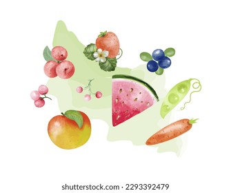 Acuarela cosechó frutas verduras en verano. Aislar sobre un fondo blanco. Ilustración vectorial.