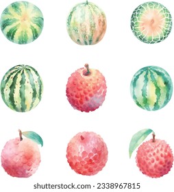 Watercolor set of watercolor fruits,lychee and melon,isolated on white background. Hand drawn illustration.