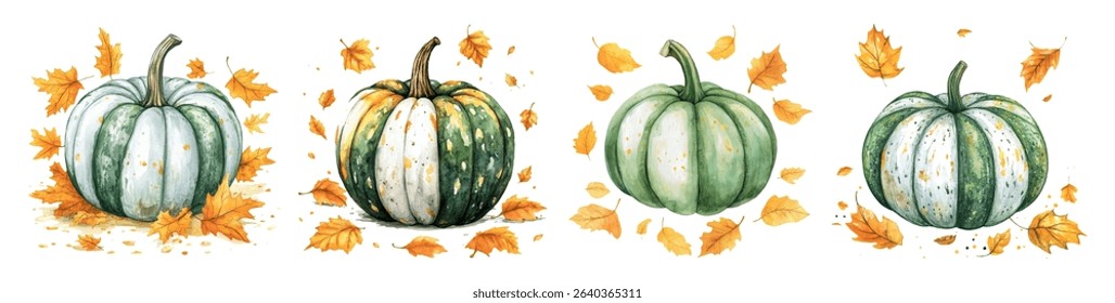 Watercolor set of green pumpkins with autumn leaves. Watercolor harvest of green pumpkins. Elements for Halloween, Thanksgiving, etc. Autumn harvest concept. Vector illustration.
