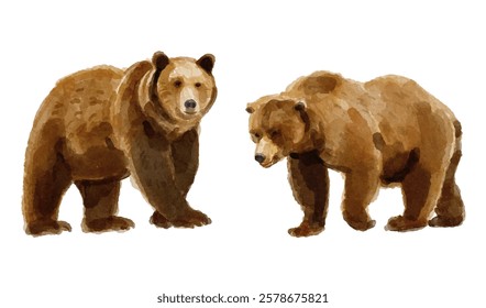 Watercolor set of grizzly bear for logo, invitations and more