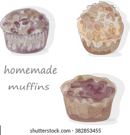 watercolor set hand draw muffins. EPS10