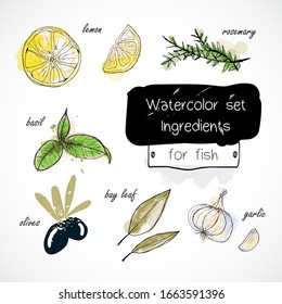 Watercolor set of herbs and spices drawn by hand on a white background.