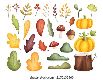 Watercolor set of illustration autumn leaves and plants 