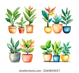 Watercolor set of indoor plants png. Indoor plants in cute watercolor pots on a transparent background. Ficus and other indoor flowers.