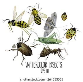 Watercolor set of insects. Wasp, bee, moth, ladybug, grasshopper, ant, chafer. Top, front views.  Vector illustration isolated on white background