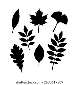 Watercolor set of leaf object plant