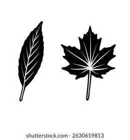 Watercolor set of leaf object plant
