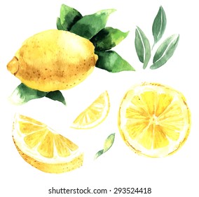 Watercolor set of lemons. Lemon segments, juicy lemon. Vector illustration