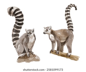 Watercolor set of lemur for logo, invitations and more