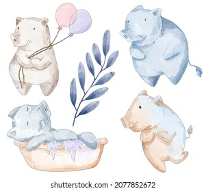 watercolor set of lovely pig in difference action , stand and holding balloon, walk, asleep in bathtub  on white background, vector illustration