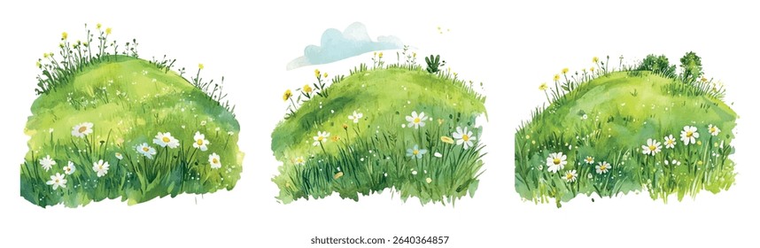 Watercolor set of meadow with flowers. Green hill with grass and meadow white and yellow flowers on isolated background. Cute illustrations of field, hill, meadow etc. Summer and spring nature.