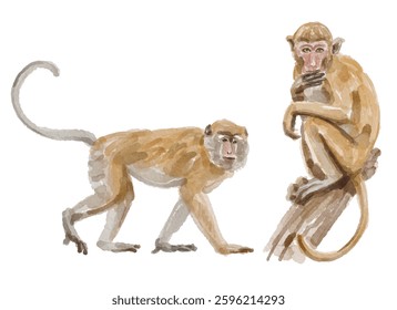 Watercolor set of monkey for logo, invitations and more